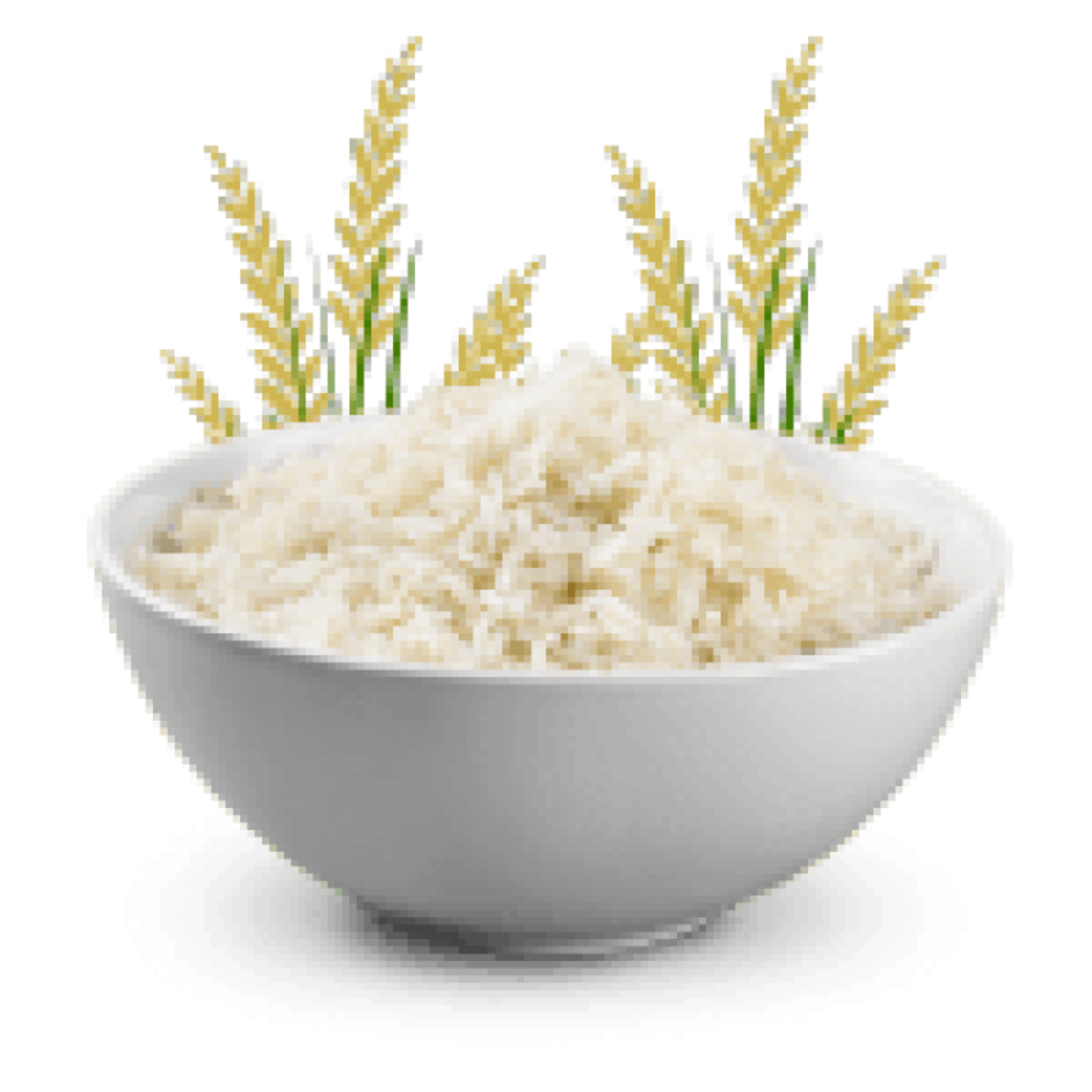 icon-1-r3uikz8o80xfnkn8g0e2cvp5c9bfx6ji33o0r4sklc (3)